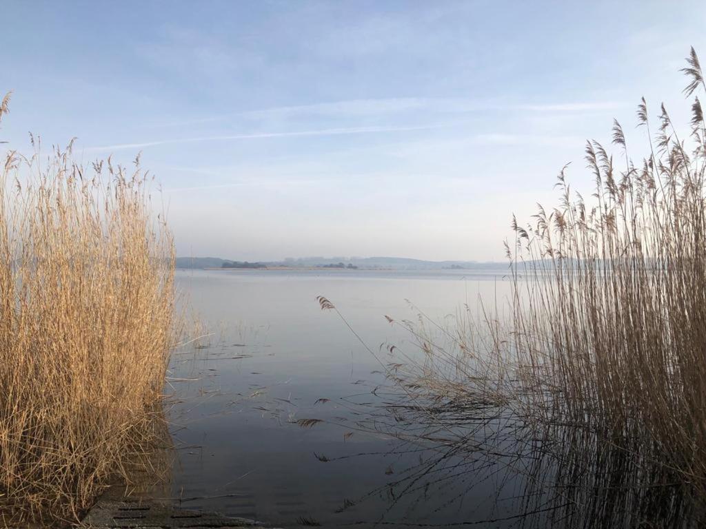 Ferienwohnung Seeblick - Insel Usedom Balm エクステリア 写真